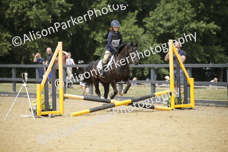 20250622-4663 - 50cm