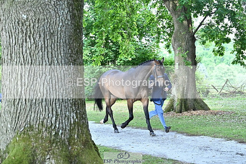 250521A-160806-00928 - C-205-Harry.Meade-IF.IN.DOUBT