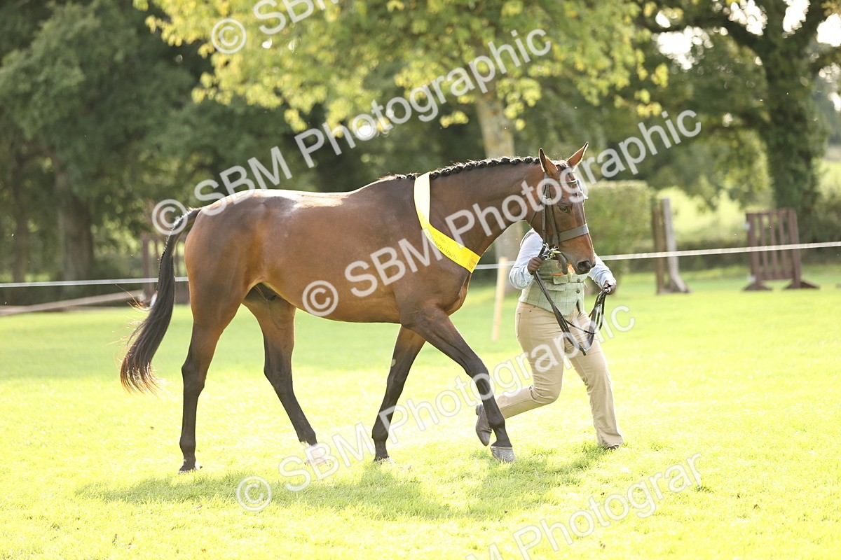 SBM_26306 - S5 - Novice & Newcomers In Hand