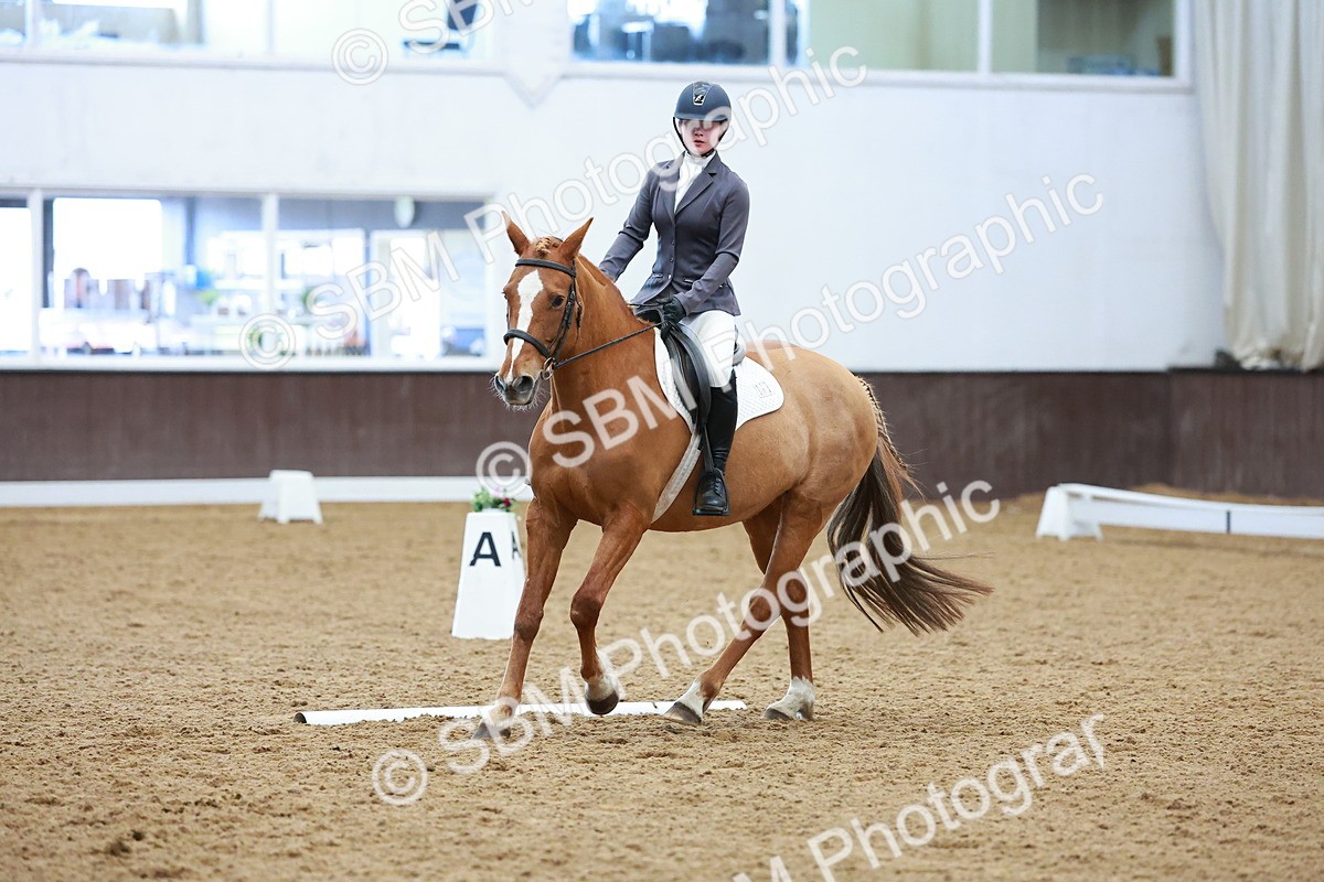 SBM_003834 - Class 11 - Novice 2