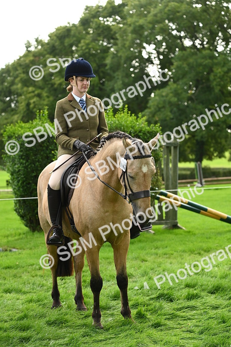 SBM_26368 - S6 - Novice & newcomer Ridden horse