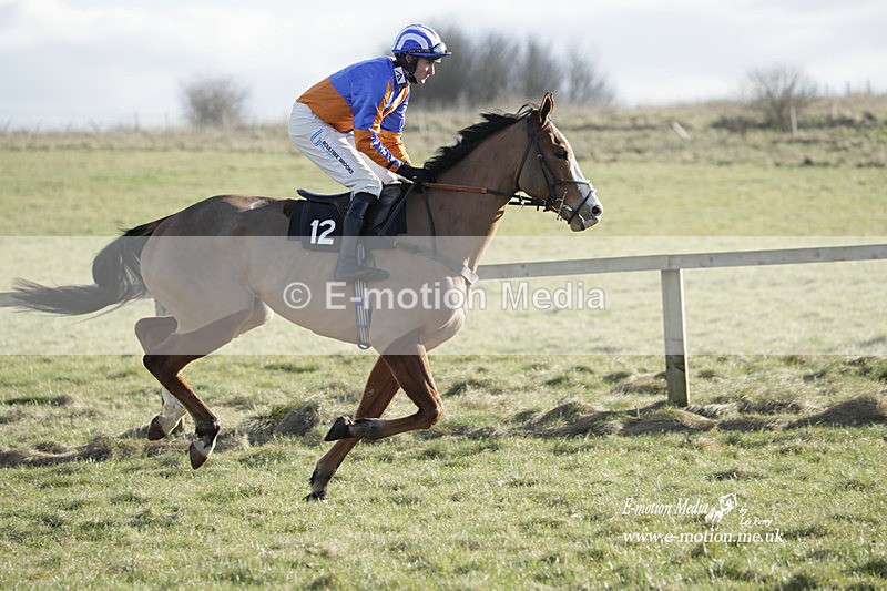 PtP 260223 1109 - South & West Wilts Point-to-Point Larkhill 26/02/23