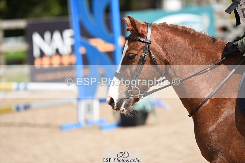 230824-133102-03502 - Round 2 Start to 15.00 coursewalk