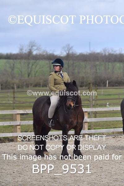 BPP_9531 - RING 2 - M&M