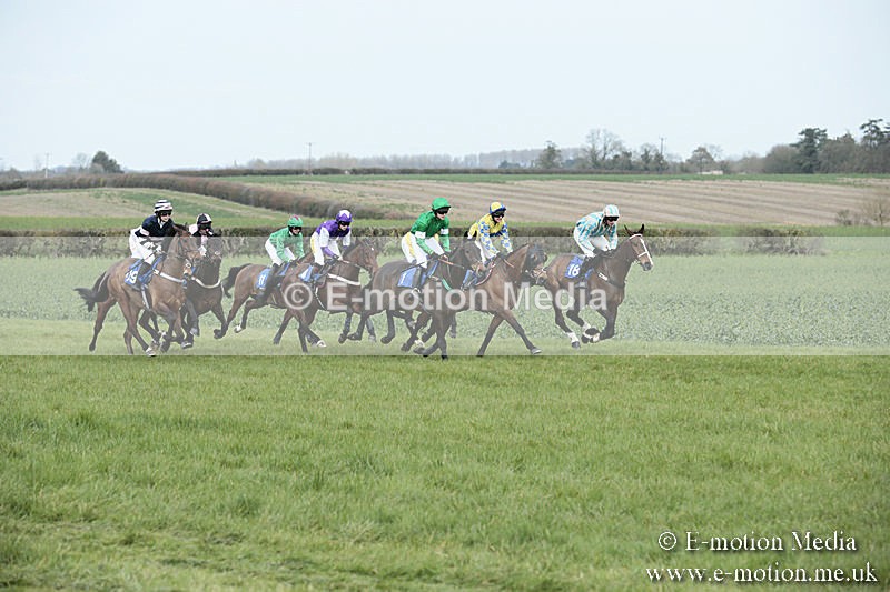 PtP 230319 146 - VWH Hunt Siddington Point-to-Point Racing 23/03/19