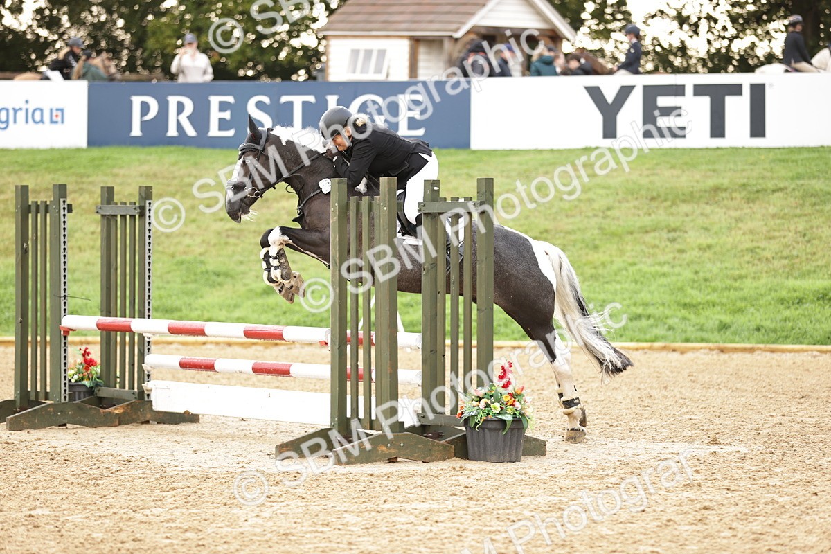 SBM_32996 - J38 - Senior Horse & Pony 80cm Championship