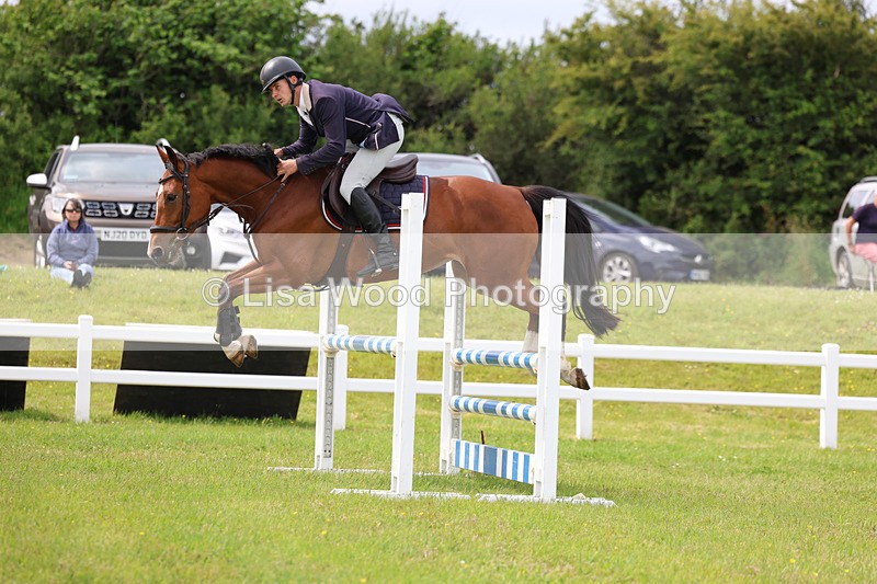 3E7A7691 - Class 13: Senior British Novice/90cm open
