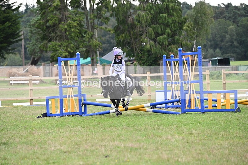 WJ6_0358 - 40cm Time 10:00 to 10:28