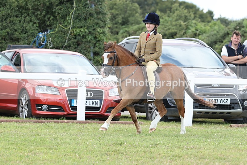 JPP_1922 - Class 18: Tiny Tots Working Hunter Pony