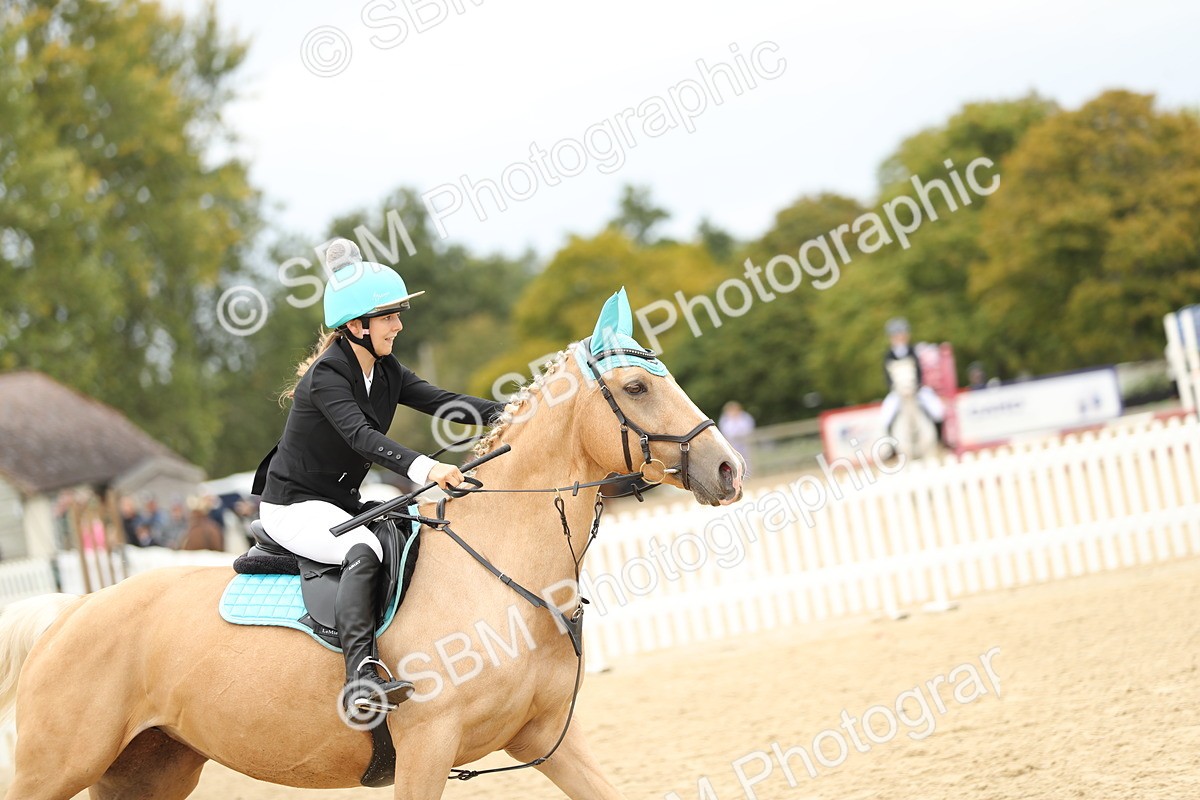 SBM_65579 - J48 - Pairs Jumping Open 70cm & 85cm