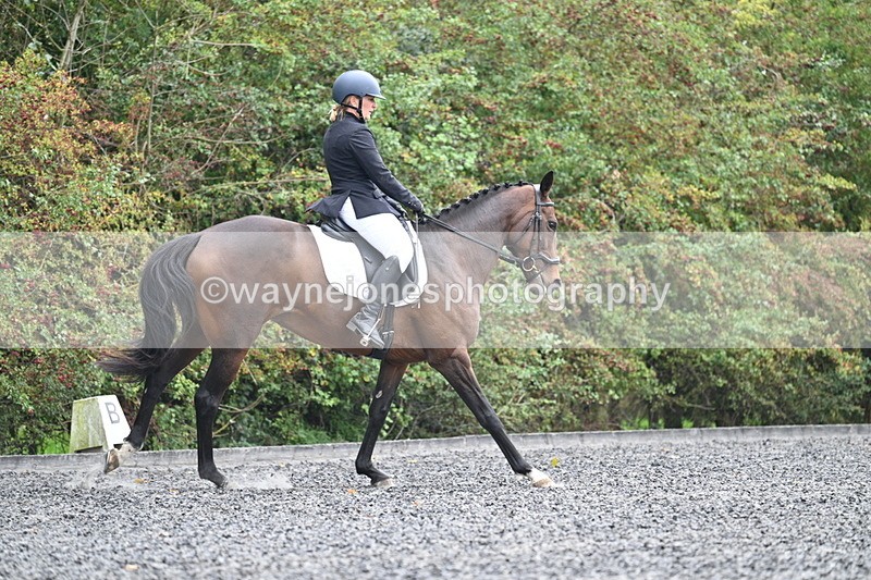 WJ7_3896 - Time 11:04 to 11:38