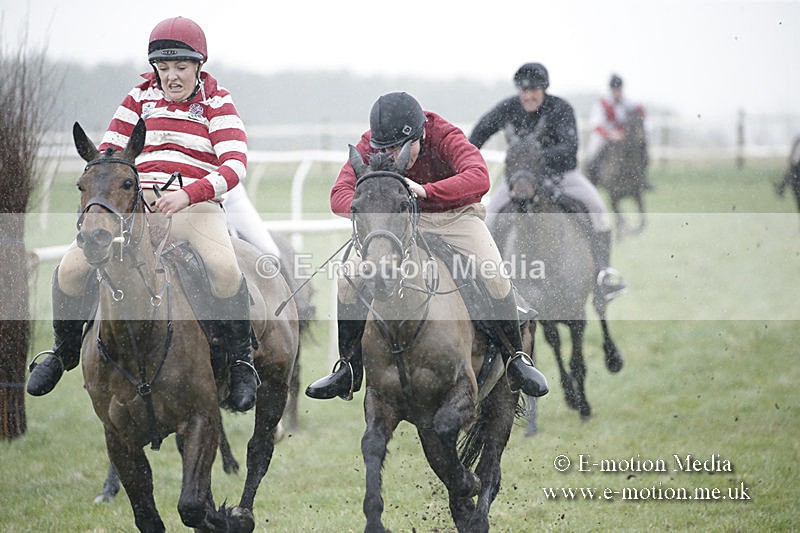 PtP 150320 0014 - New Forest Point-to-Point Larkhill 15/03/20