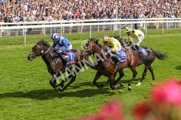 290723-Race 3-Alflaila-3854 - Race 3 3.15pm Sky Bet York Stakes (Group 2)