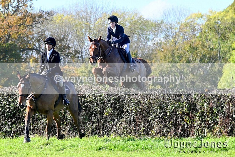 WJ6_4947 - Edited examples