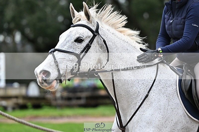 250201A-144111-01004 - Cls 04 Local Horse 120cm