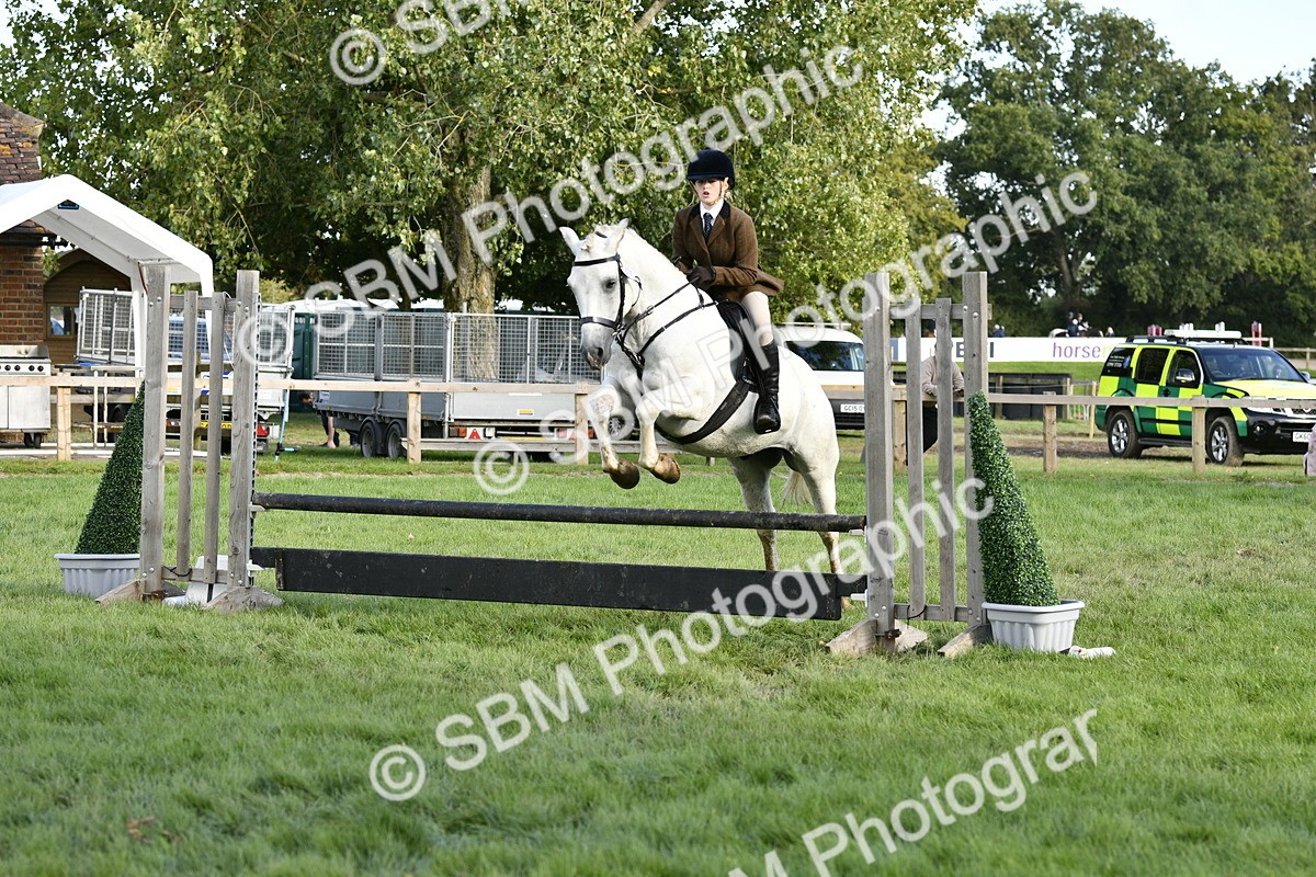 SBM_52177 - S35 - Working Hunter & Working Show Horse