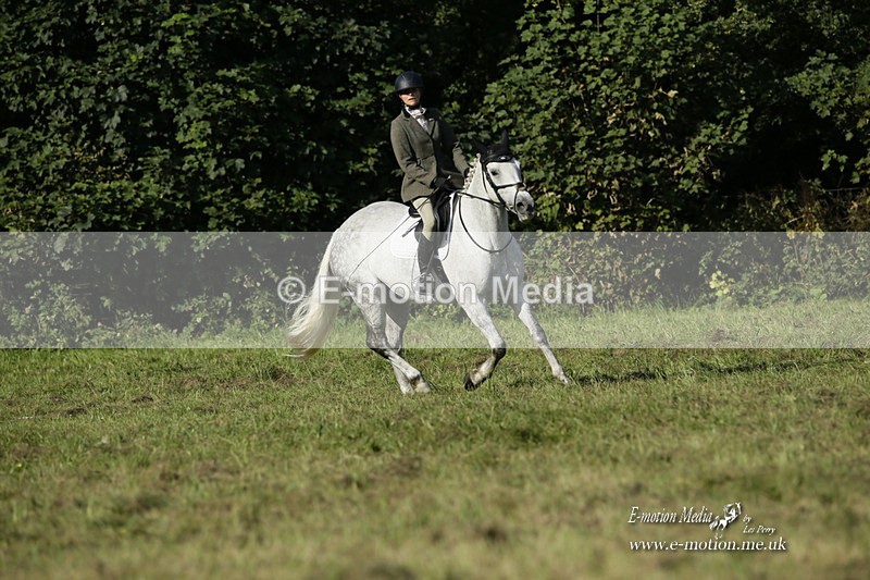 BVRC 120921 126 - Bourne Valley Riding Club UA Dressage & Show Jumping 12/09/21