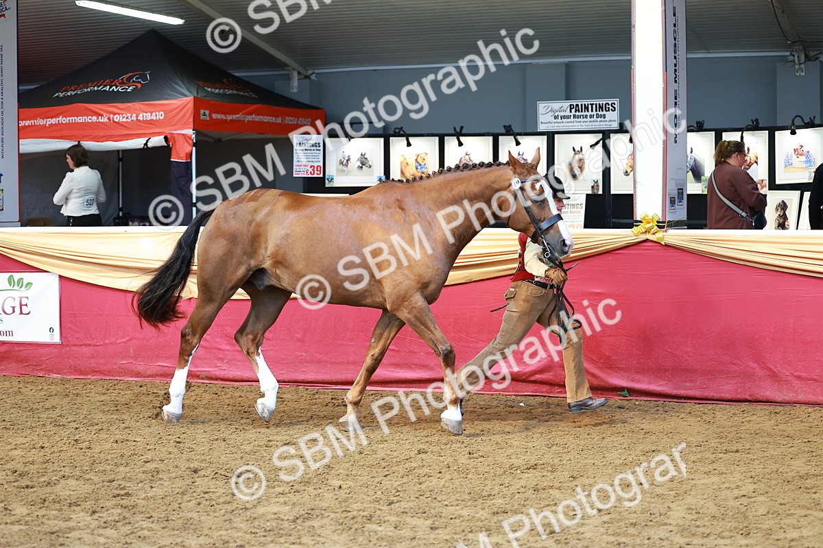 SBM_18417 - Class 903 - Sup Final - IH Pre Vet