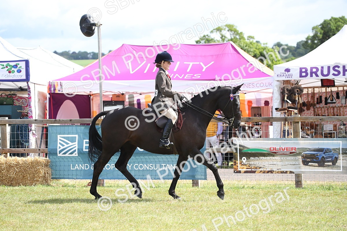 SBM_13186 - Class 95-96 - LIHS BSHA Rising Star Hack Riding Horse