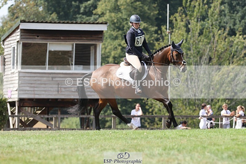 250823A-140350-31455 - Arena D