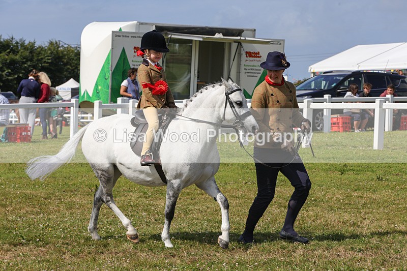 1X9A3691 - Class 29: Lead Rein SP/SHP