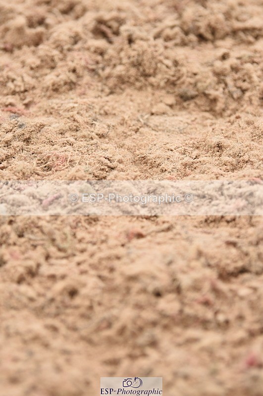 230830A-133126-00916 - Cls 4 Newcomers & Open