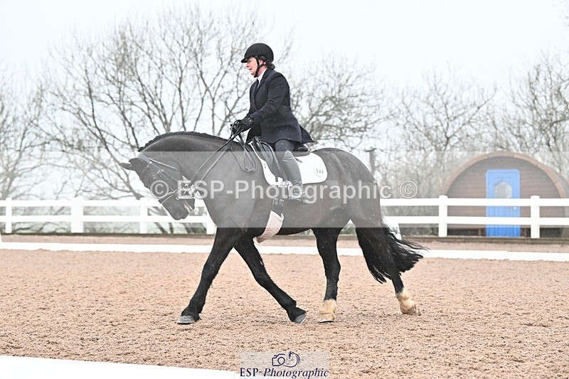 250215-103147-03043 - 244-Suzanne.Clark-Ballinamurra.Billy