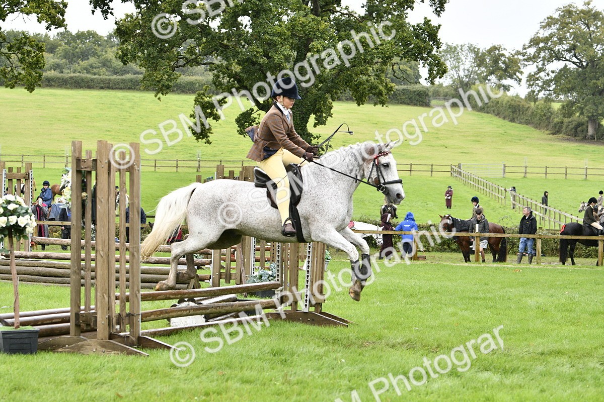 SBM_41453 - S32 - Mountain & Moorland Working Hunter Pony
