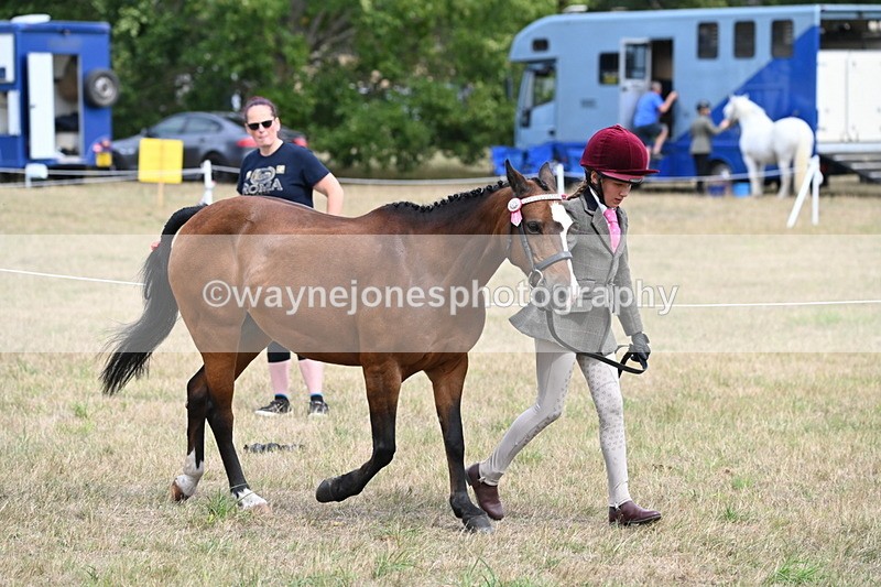 WJ6_5891 - Class 19 In-hand Veterans (Uploaded correct folder)