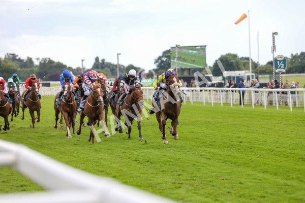 140624-Race 5-Ron O-5711 - Race 5 4.10pm Juddmonte EBF Fillies Restricted Novice Stakes