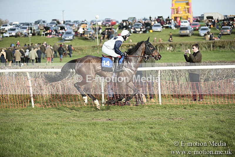 PtP 230319 509 - VWH Hunt Siddington Point-to-Point Racing 23/03/19