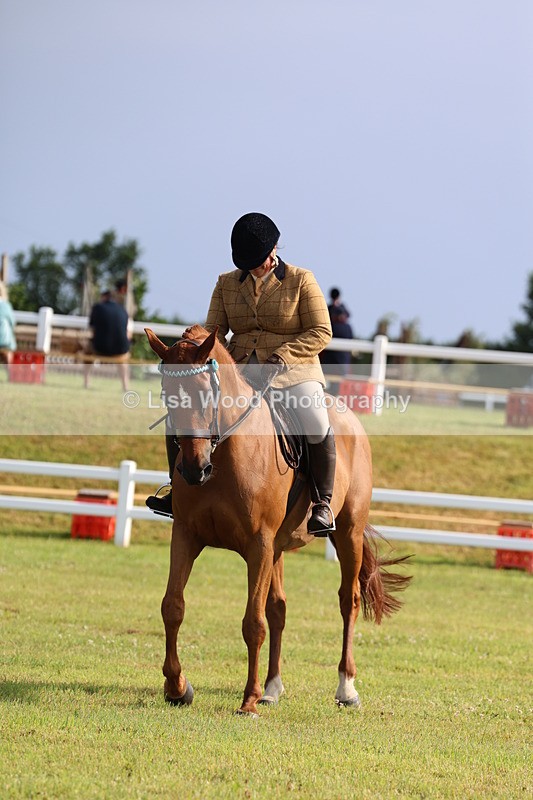 3E7A8247 - Class 2: Rising Star Large Hack/Riding Horse