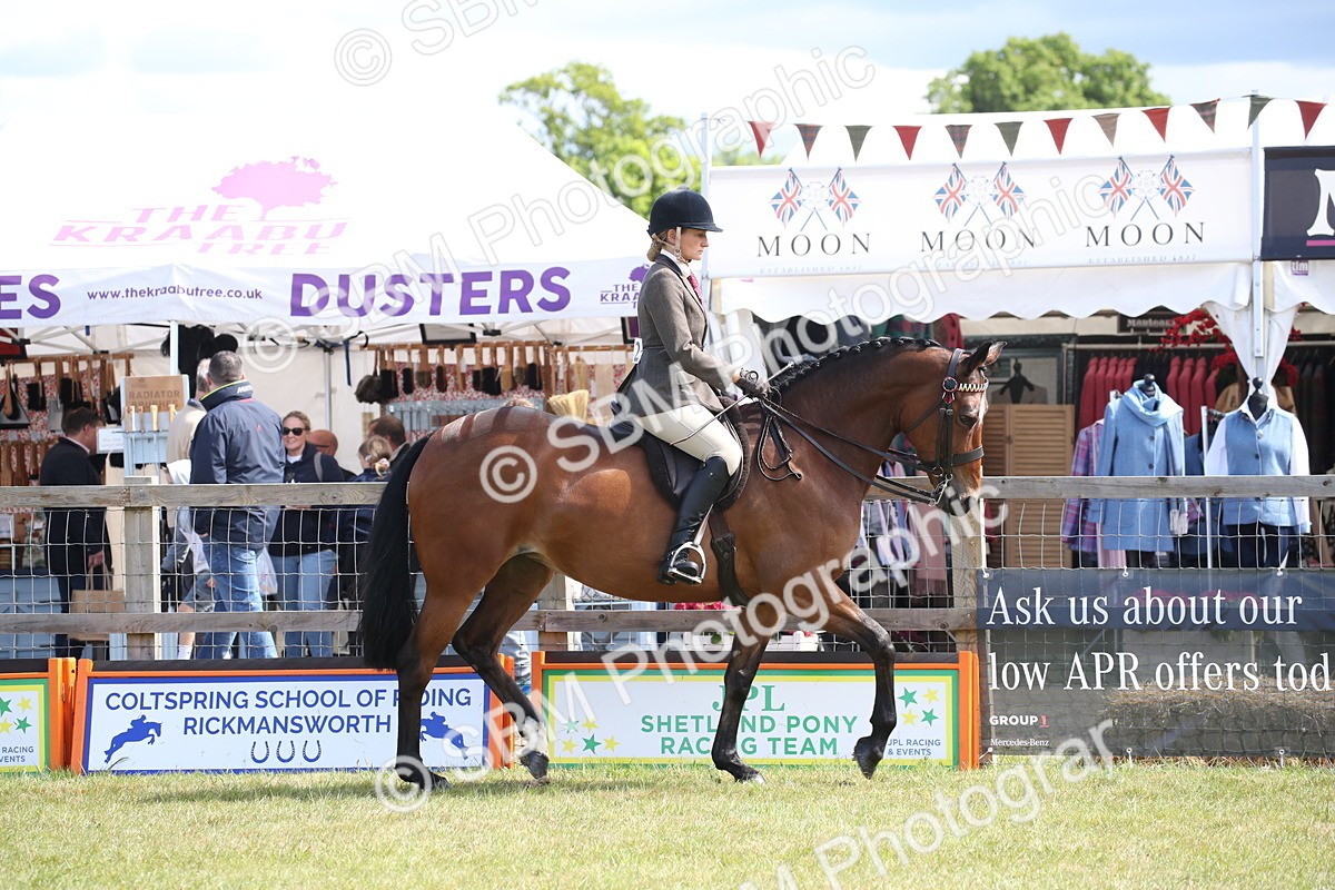 SBM_13301 - Class 95-96 - LIHS BSHA Rising Star Hack Riding Horse