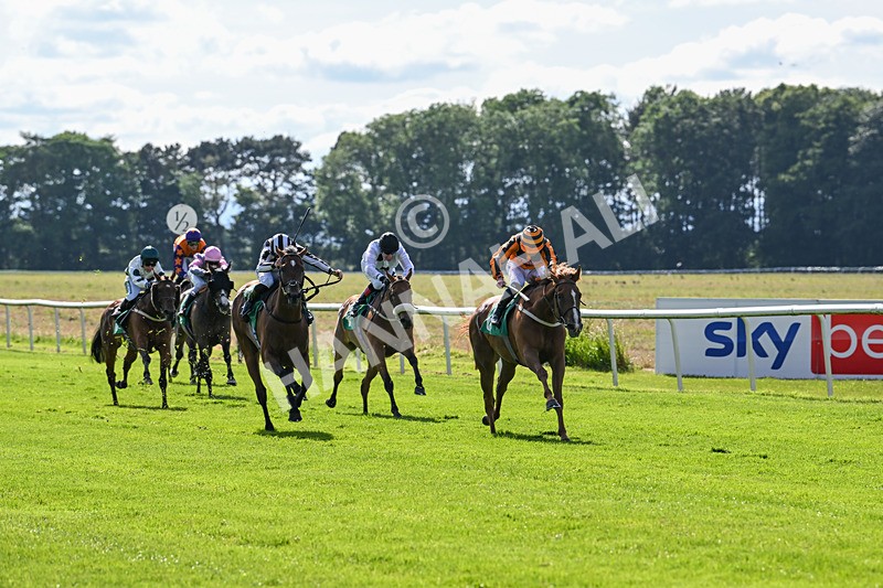 160624-Race 3-Mereside Diva-8510 - Race 3