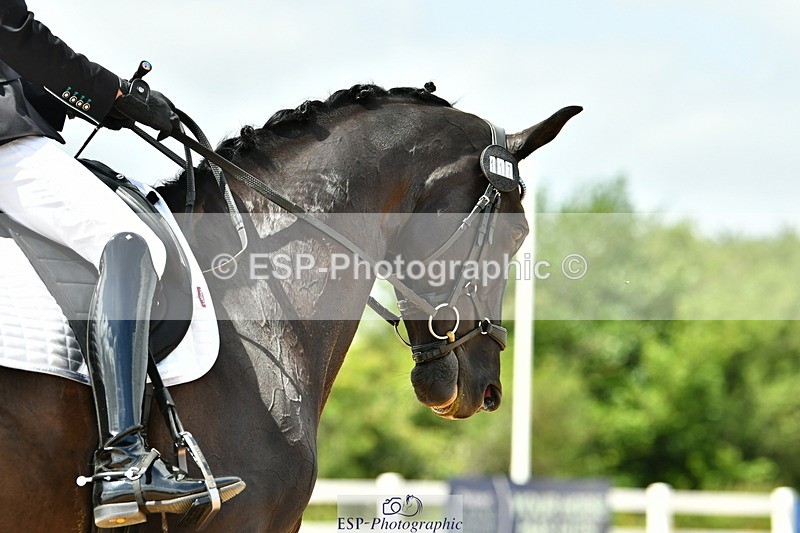 230702A-144212-10743 - Cls 32 Medium 73