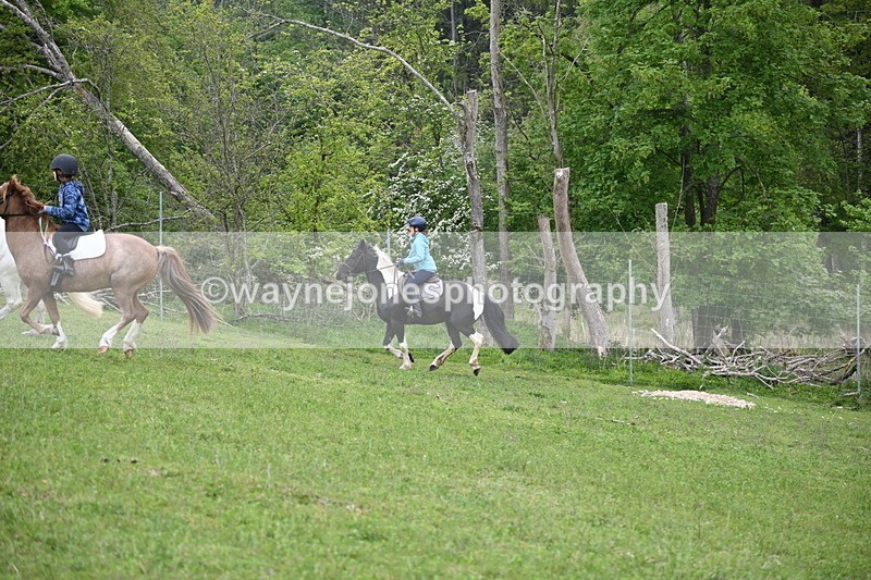 WJ6_3057 - A Camera