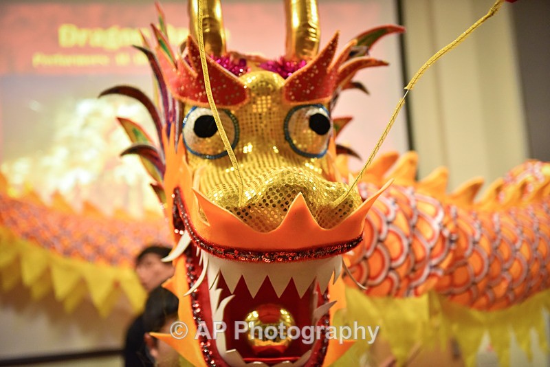 ACP_0459-1 - Chinese New Year