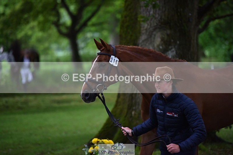 240522-164122-01081 - 216-I'M_A_WONDER-Rosie_Bradley-Hole