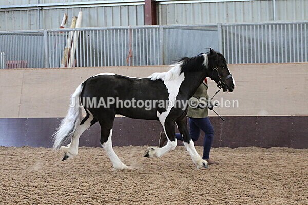 SIAL9337 - Indoor Classes