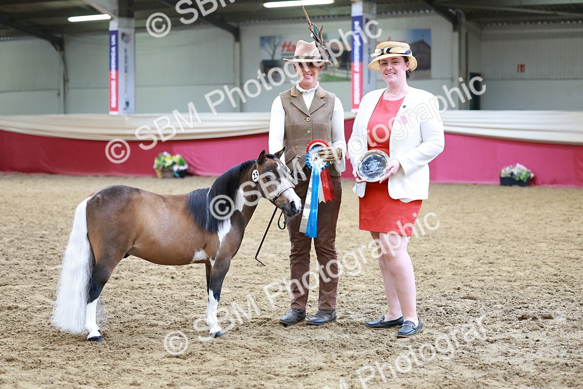 SBM_15751 - Class 110 - IH  Minature Horse