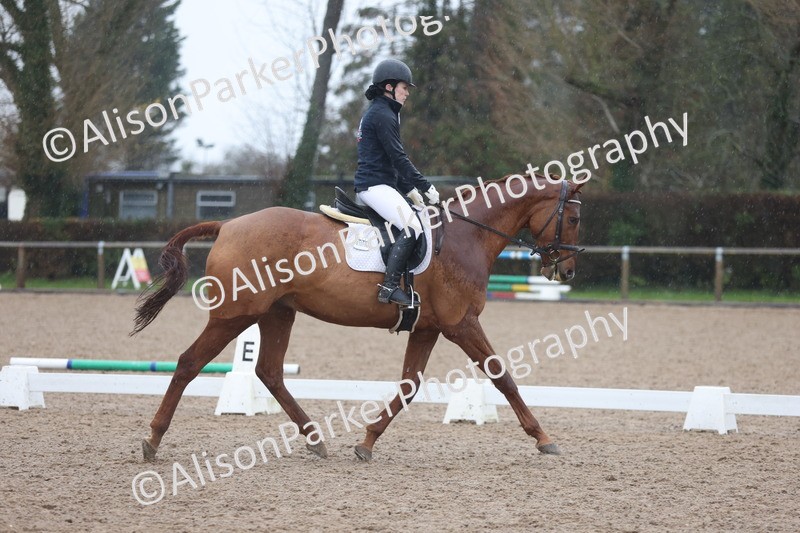 20251207-0634 - Class 3 - Novice 5