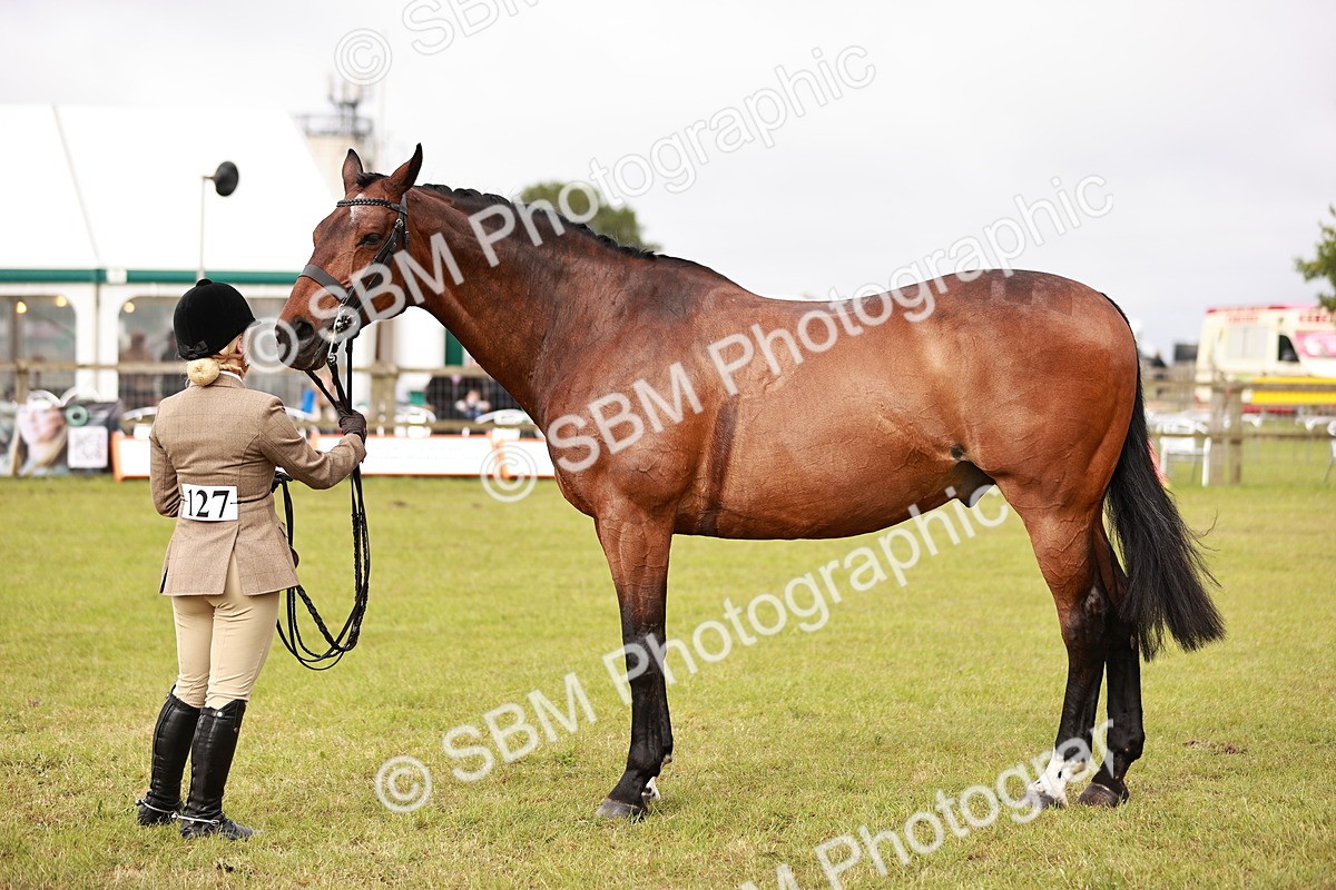 SBM_10883 - Class 81-84 - RIHS Ridden hunters Inc Ladies Hunter