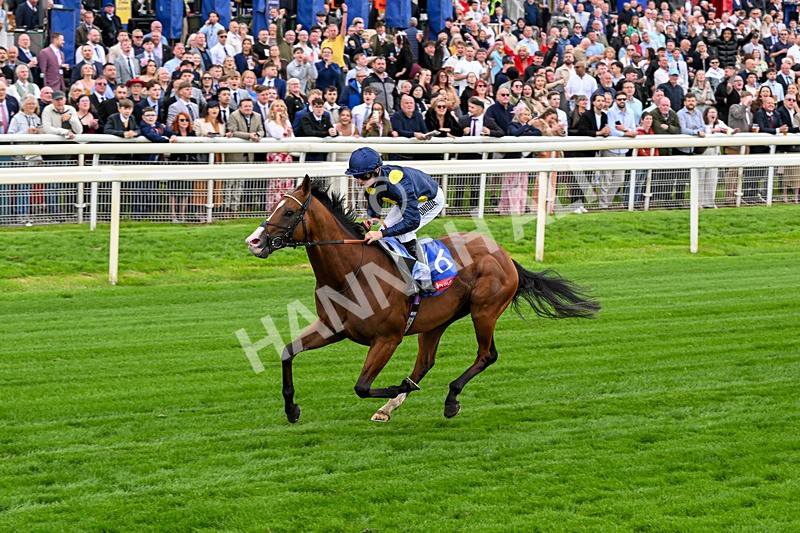 130626-Race 2-Extremely Zain-0911 - Race 2 14.25pm Sky Bet Supporting Macmillan Handicap