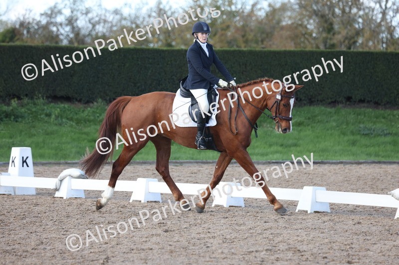 20251102-0703 - Class 4 - Novice 6