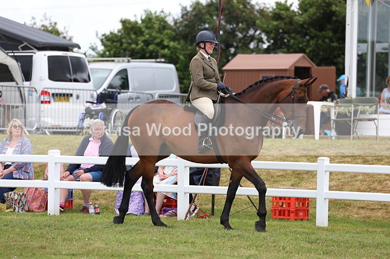 3E7A1330 - Class 9: Open Hunter