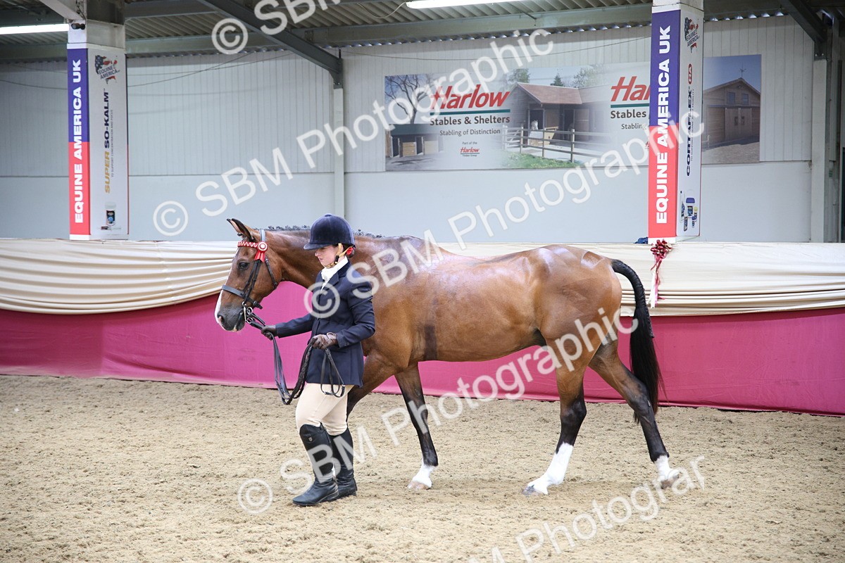 SBM_23415 - Class 904 - Supreme Final Ridden Diamond