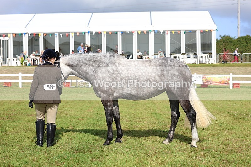 3E7A9067 - Class 3: Rising Star S/L Hunter