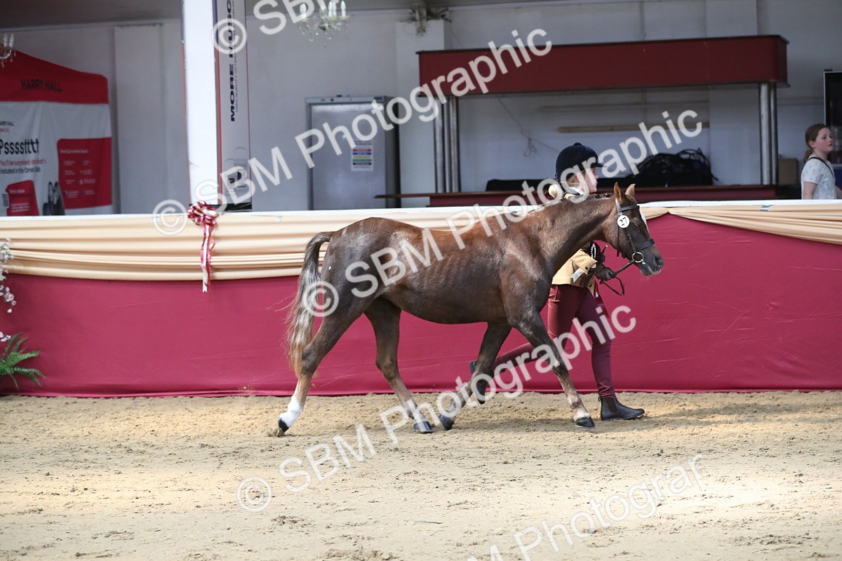 SBM_04509 - Class 7R Regional - IH Diamond
