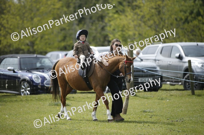 20260426-1875 - Class 7 - Pony Judge Would Most Like To Take Home