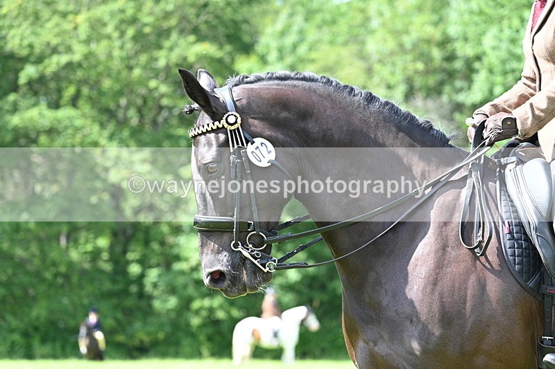 WJ7_1104 - Class 11 Condition & Turnout